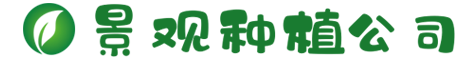 www.itl567.com